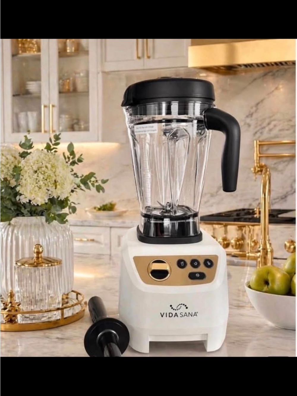 Princess House Vida Sana Blender
